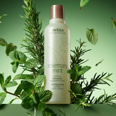 Aveda Rosemary Mint Purifying Shampoo